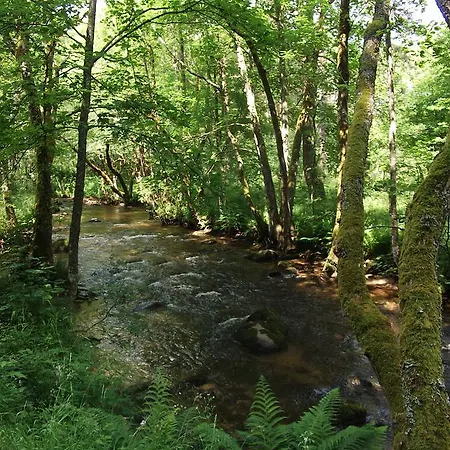 Hotel Au Pont De Raffiny Saint-Anthème